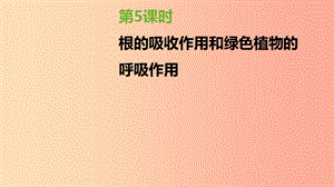 中考生物復(fù)習(xí) 第三單元 生物從環(huán)境中獲取物質(zhì)和能量 第05課時 根的吸收作用和綠色植物的呼吸作用.ppt