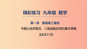 2019年秋九年級(jí)數(shù)學(xué)下冊(cè)第一章解直角三角形專題分類突破五三角函數(shù)應(yīng)用的基本策略課件新版浙教版.ppt