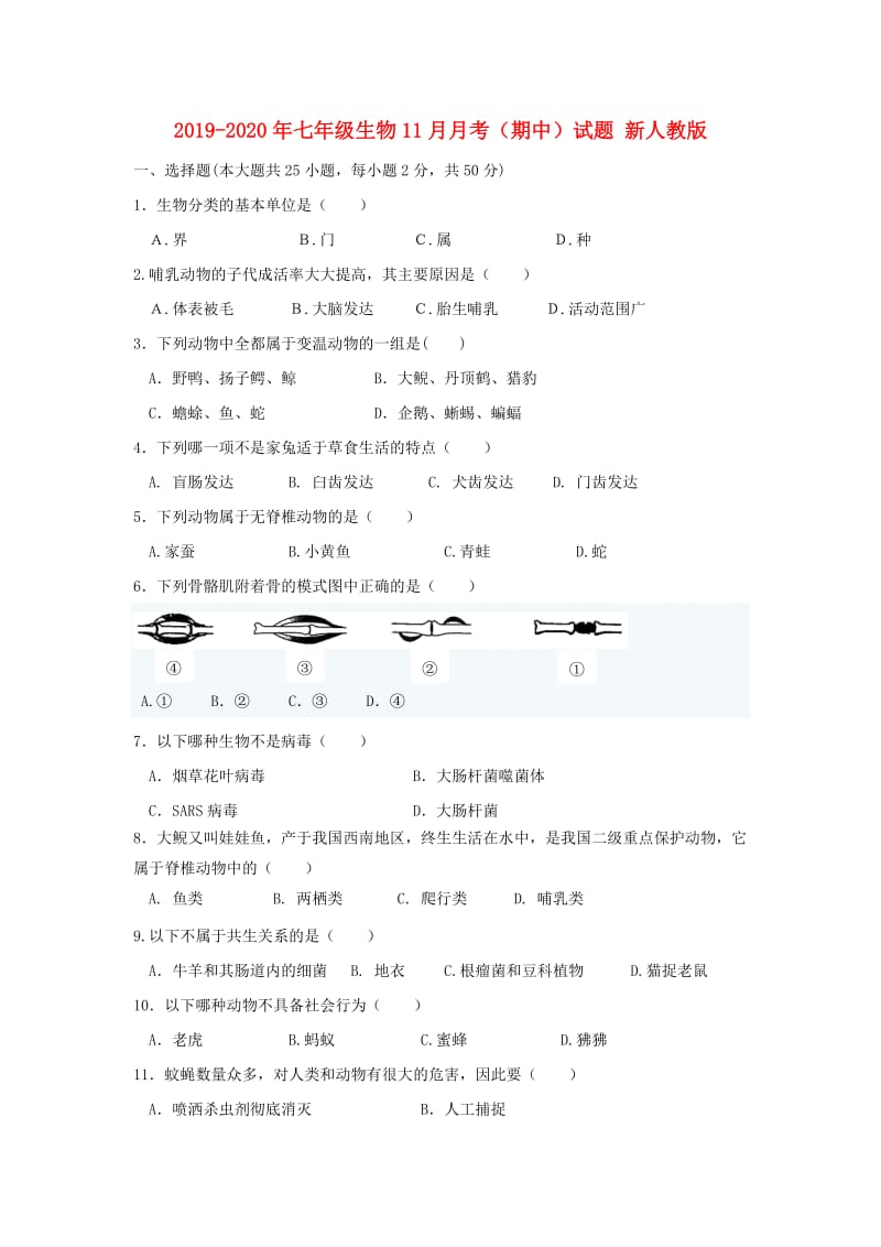 2019-2020年七年级生物11月月考（期中）试题 新人教版.doc_第1页