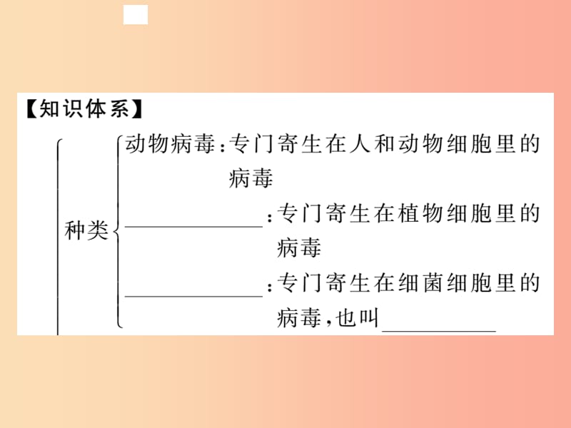 2019年八年级生物上册 第五单元 第五章 病毒习题课件 新人教版.ppt_第2页