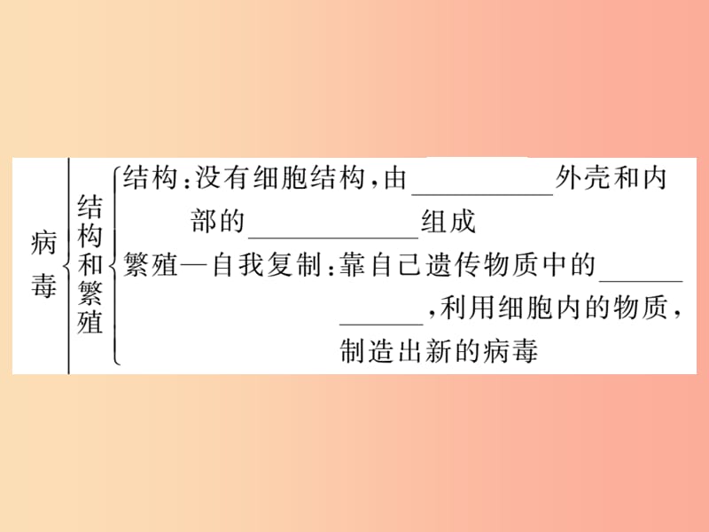 2019年八年级生物上册 第五单元 第五章 病毒习题课件 新人教版.ppt_第3页