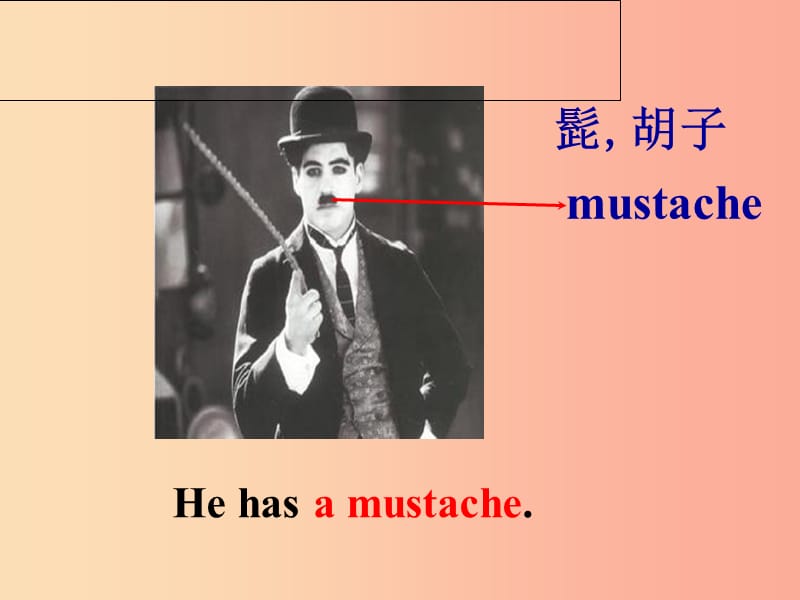 七年级英语下册 Unit 9 What does he look like Section B课件 新人教版.ppt_第3页