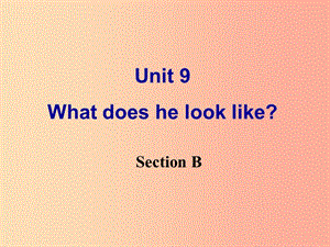 七年级英语下册 Unit 9 What does he look like Section B课件 新人教版.ppt