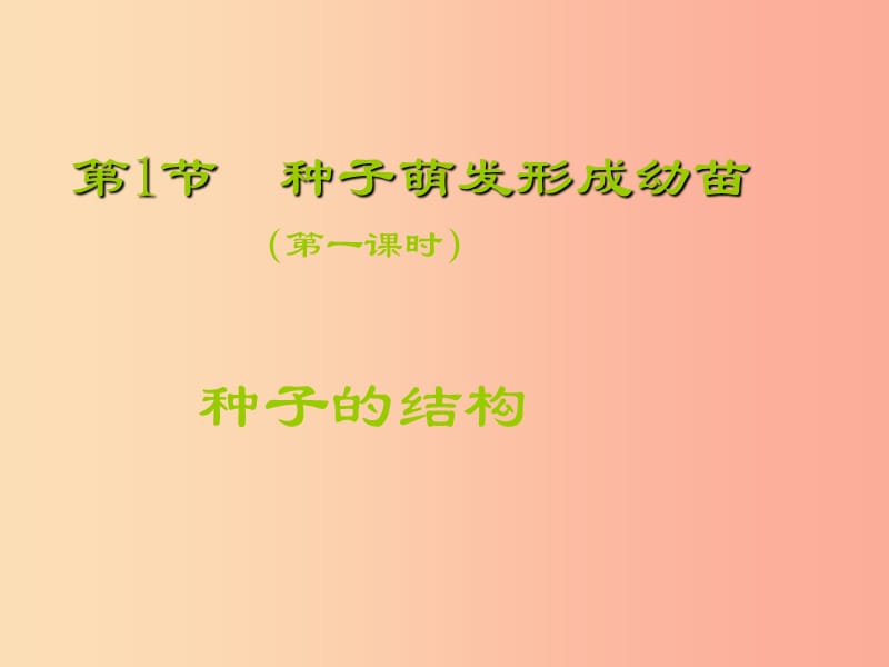 2019年七年级生物上册 6.1 种子萌发形成幼苗课件（新版）北师大版.ppt_第1页