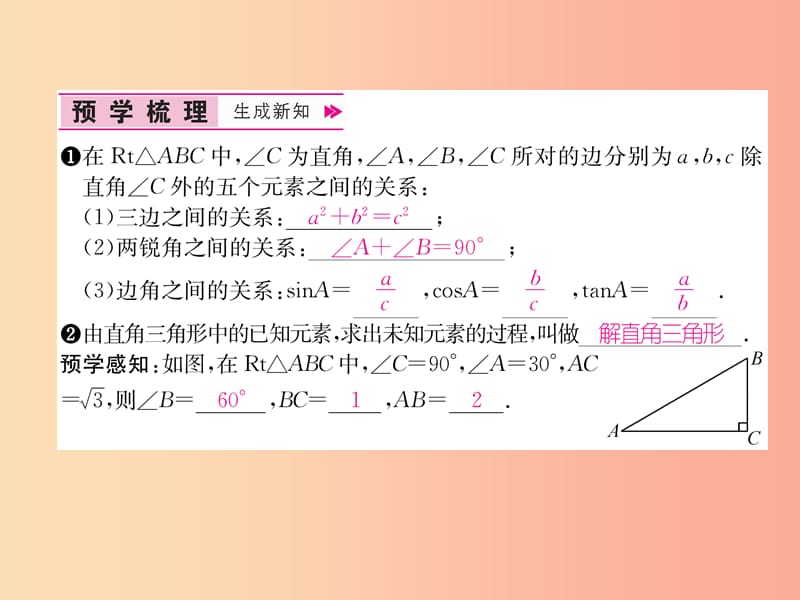 九年级数学下册 第28章 锐角三角函数 28.2 解直角三角形及其应用 28.2.1 解直角三角形习题课件 新人教版.ppt_第2页