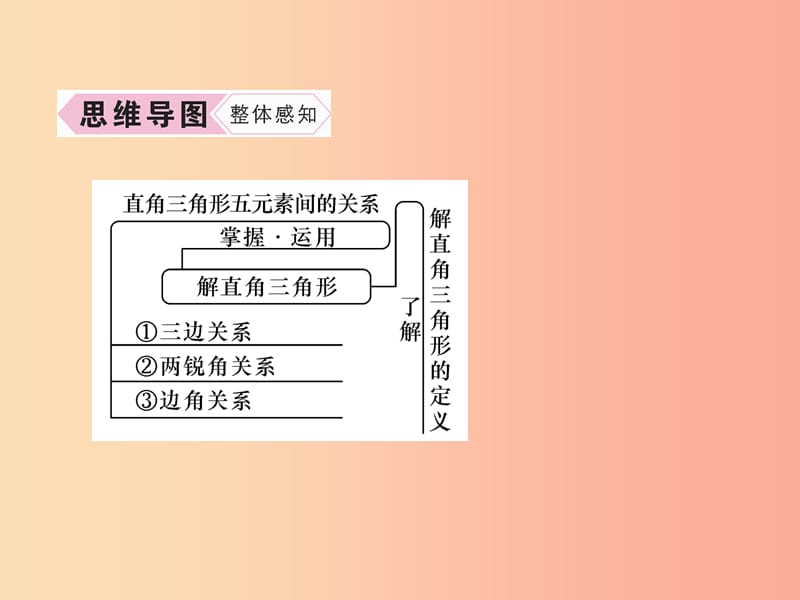 九年级数学下册 第28章 锐角三角函数 28.2 解直角三角形及其应用 28.2.1 解直角三角形习题课件 新人教版.ppt_第3页