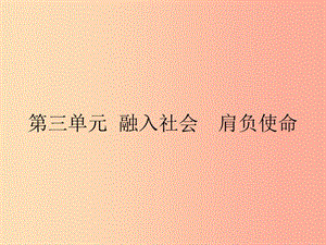 九年級政治全冊 第三單元 融入社會 肩負使命 第六課 參與政治生活 第1框 人民當家作主的法治國家.ppt