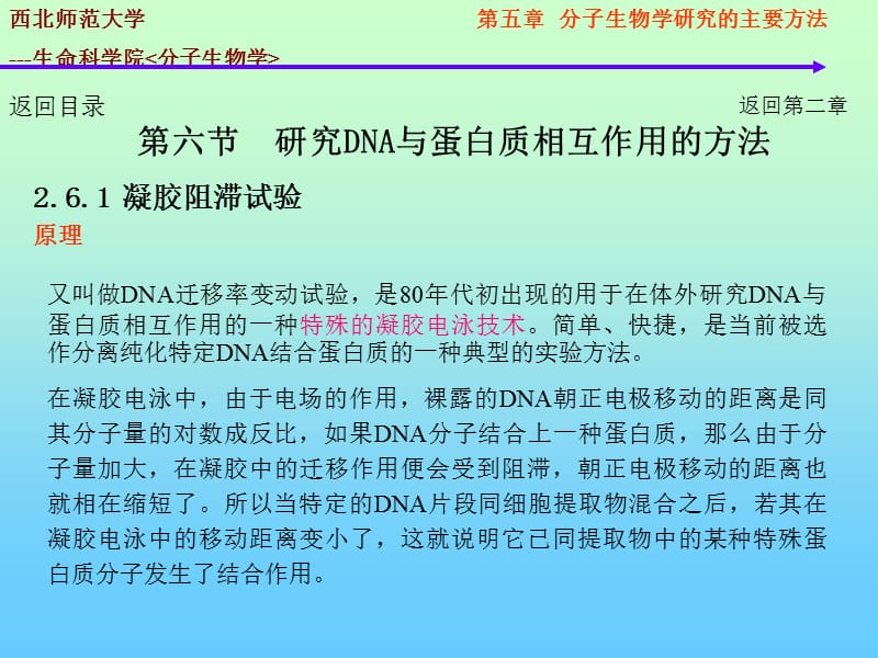 分子生物学的研究方法-DNA-蛋白质相互作用.ppt_第1页