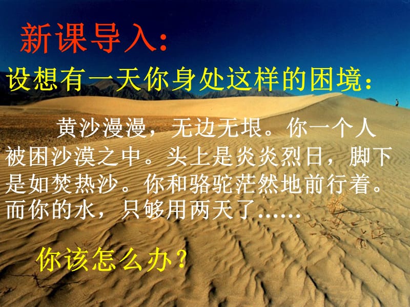 《鲁滨孙漂流记》共.ppt_第1页