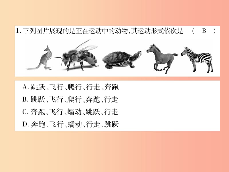 2019年八年级生物上册 第5单元 第2、3章达标测试题课件 新人教版.ppt_第3页