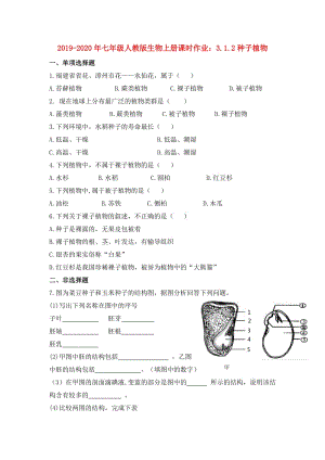 2019-2020年七年級人教版生物上冊課時作業(yè)：3.1.2種子植物.doc