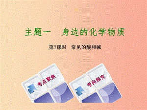 湖南省2019年中考化學(xué)復(fù)習(xí) 主題一 身邊的化學(xué)物質(zhì) 第7課時 常見的酸和堿課件.ppt