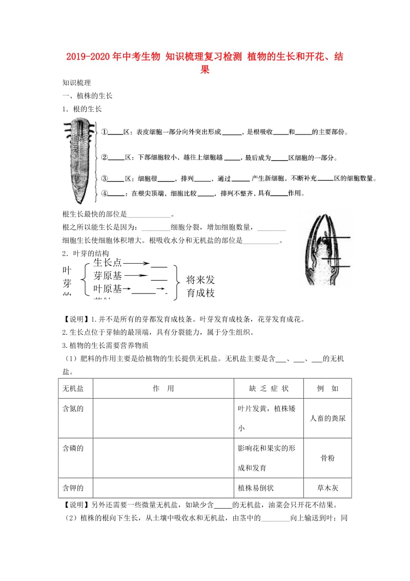 2019-2020年中考生物 知识梳理复习检测 植物的生长和开花、结果.doc_第1页