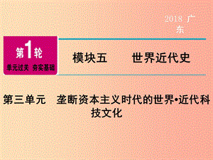 廣東省2019年中考歷史總復(fù)習(xí) 第1輪 模塊五 世界近代史 第3單元 壟斷資本主義時代的世界 近代科技文化.ppt