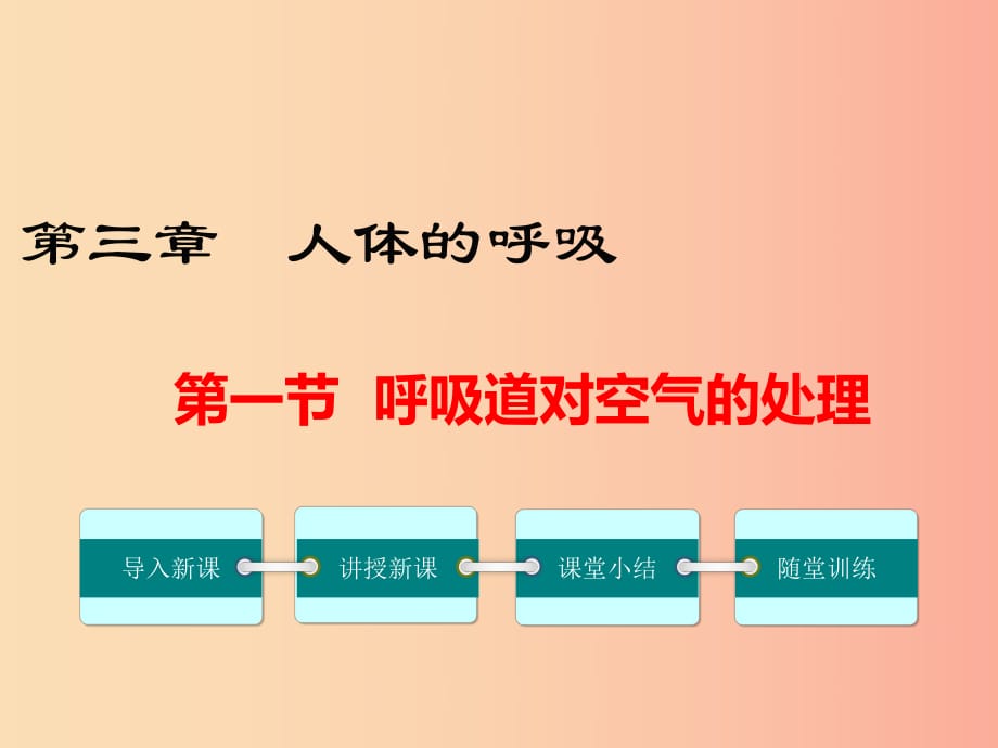 2019年春七年級生物下冊 第四單元 第三章 第一節(jié) 呼吸道對空氣的處理課件 新人教版.ppt_第1頁