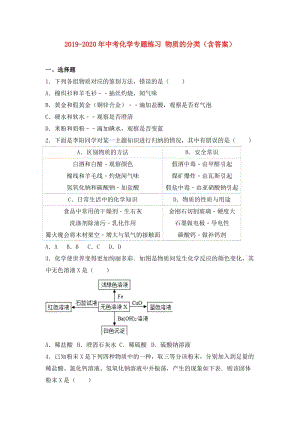 2019-2020年中考化学专题练习 物质的分类（含答案）.doc