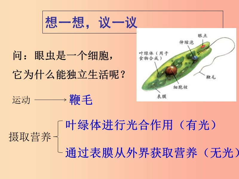 2019年七年级生物上册 2.2.4《单细胞生物》课件3 新人教版.ppt_第3页