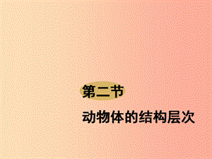 2019年七年級生物上冊 2.2.2《動物體的結構層次》課件3 新人教版.ppt