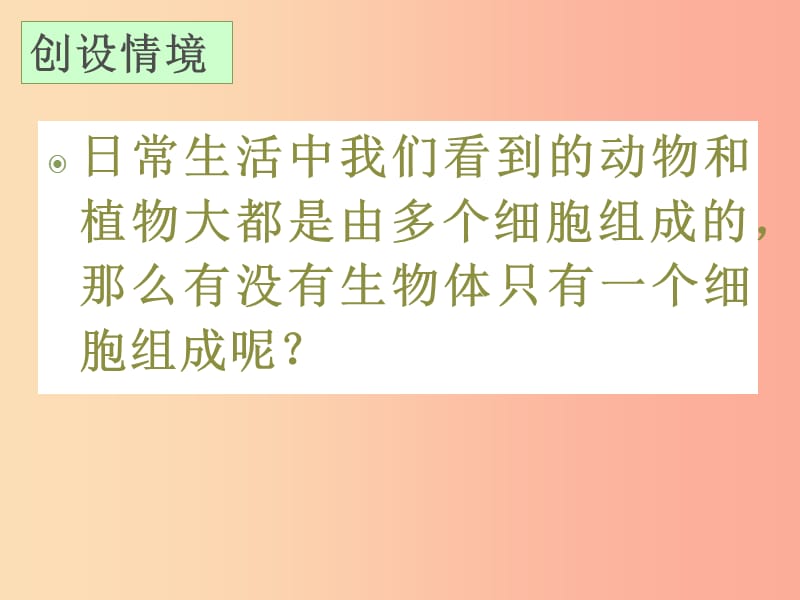 2019年七年级生物上册2.2.4单细胞生物课件1 新人教版.ppt_第3页