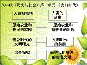 歷史與社會(huì)人教版八上第一單元史前時(shí)代復(fù)習(xí).ppt