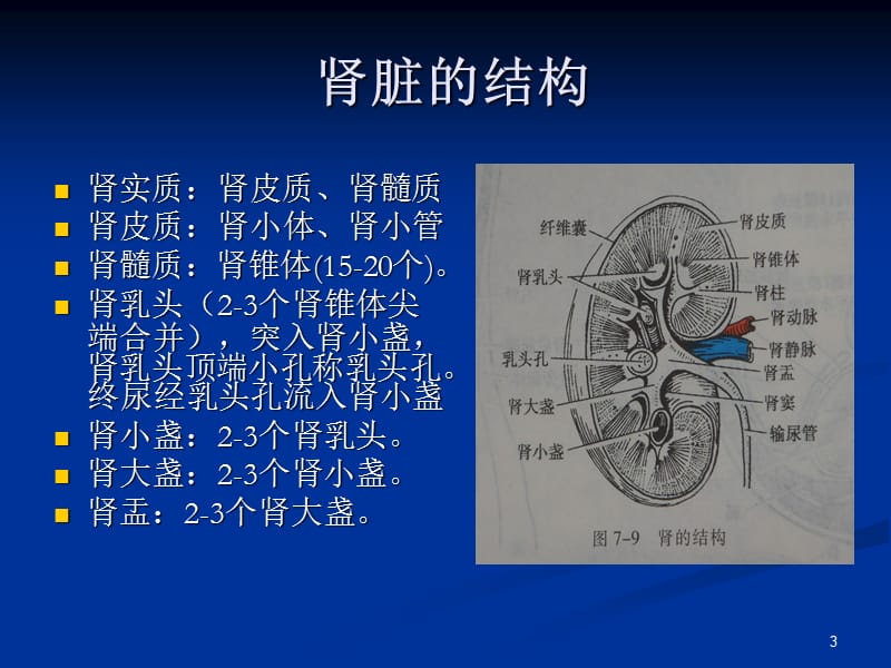 髓质海绵肾影像表现ppt课件_第3页