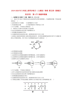 2019-2020年八年級(jí)上冊(cè)同步練習(xí)（人教版）物理 第五章《透鏡及其應(yīng)用》 第4節(jié) 眼睛和眼鏡.doc