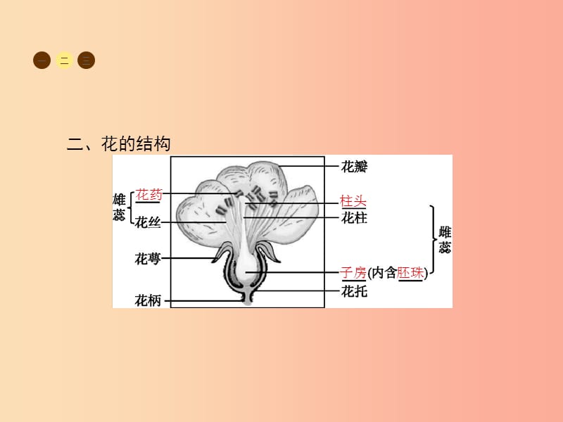 七年级生物上册3.5.5植物的开花和结果习题课件新版苏教版.ppt_第3页