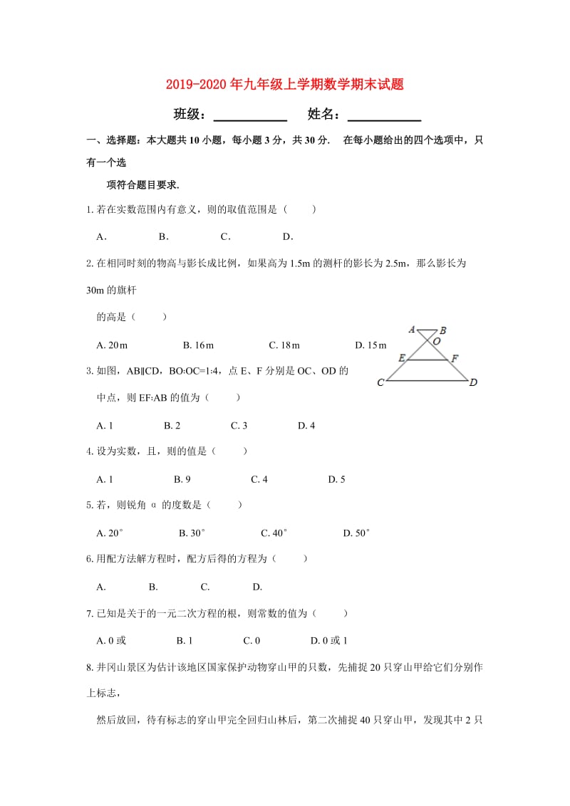 2019-2020年九年级上学期数学期末试题.doc_第1页