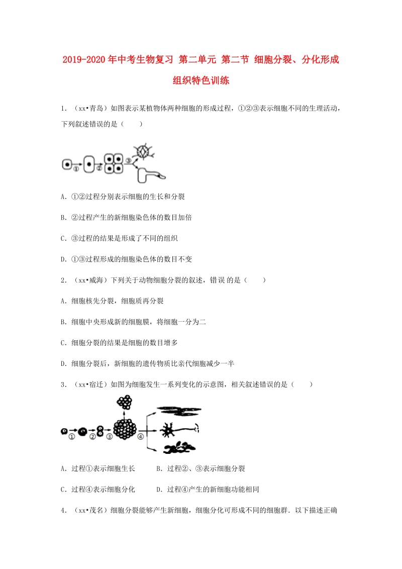 2019-2020年中考生物复习 第二单元 第二节 细胞分裂、分化形成组织特色训练.doc_第1页