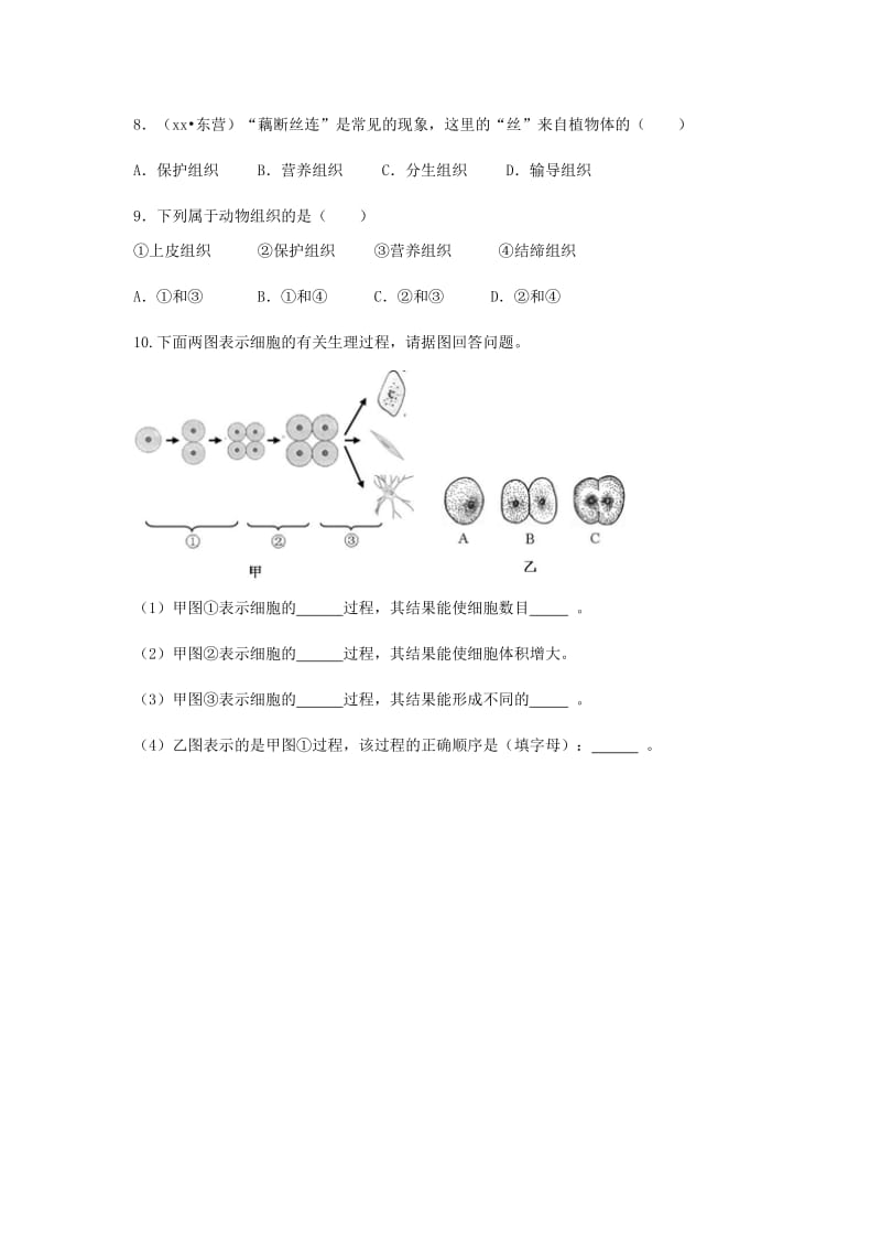 2019-2020年中考生物复习 第二单元 第二节 细胞分裂、分化形成组织特色训练.doc_第3页