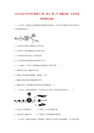 2019-2020年中考生物復(fù)習(xí) 第二單元 第二節(jié) 細(xì)胞分裂、分化形成組織特色訓(xùn)練.doc