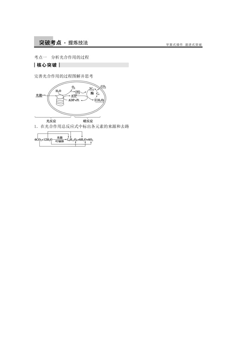 2019-2020年高考生物大一轮复习 第三单元 第11讲 能量之源 光与光合作用教案.doc_第3页