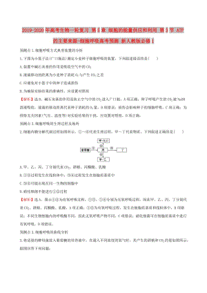 2019-2020年高考生物一輪復(fù)習(xí) 第5章 細(xì)胞的能量供應(yīng)和利用 第3節(jié) ATP的主要來(lái)源-細(xì)胞呼吸高考預(yù)測(cè) 新人教版必修1.doc