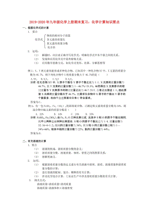 2019-2020年九年級化學上冊期末復習：化學計算知識要點.doc