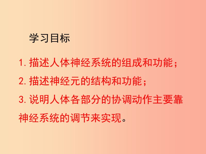 七年级生物下册 4.6.2《神经系统的组成》课件3 新人教版.ppt_第2页