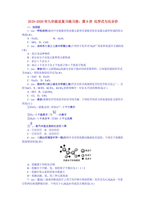 2019-2020年九年級(jí)總復(fù)習(xí)練習(xí)冊(cè)：第8講 化學(xué)式與化合價(jià).doc