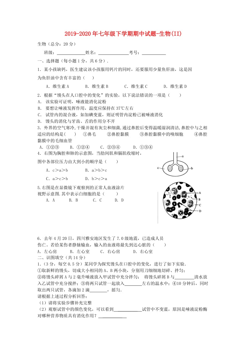 2019-2020年七年级下学期期中试题-生物(II).doc_第1页