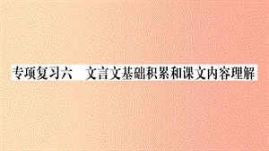 2019年七年级语文下册专项复习6文言文基础积累和课文内容理解习题课件新人教版.ppt