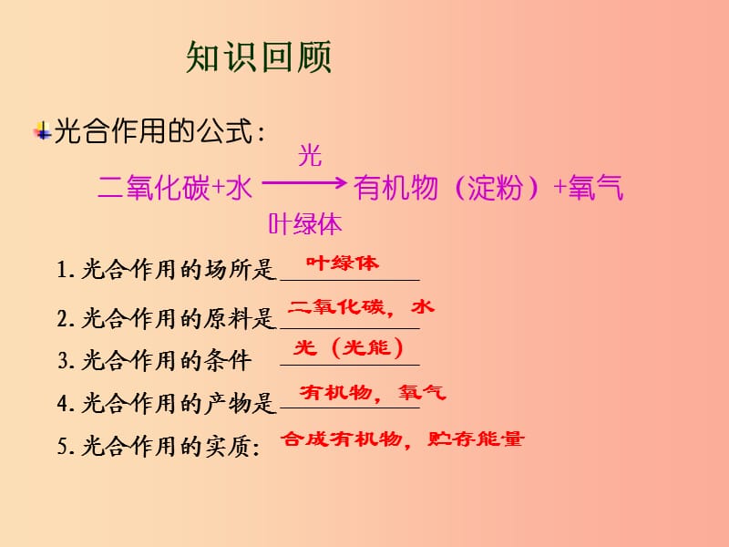 2019年七年级生物上册 3.5.2《绿色植物的呼吸作用》课件4 新人教版.ppt_第1页