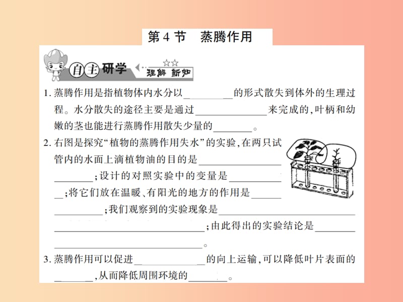 2019年七年级生物上册第三单元第五章第4节蒸腾作用习题课件（新版）北师大版.ppt_第1页