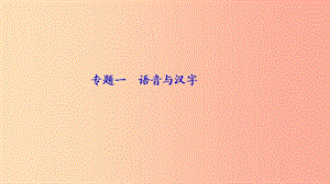 九年級語文下冊 期末專題復習一 語音與漢字習題課件 新人教版.ppt