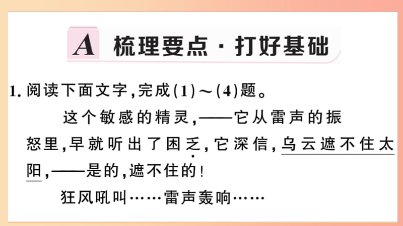 安徽专用九年级语文下册第一单元4海燕习题课件新人教版.ppt_第2页