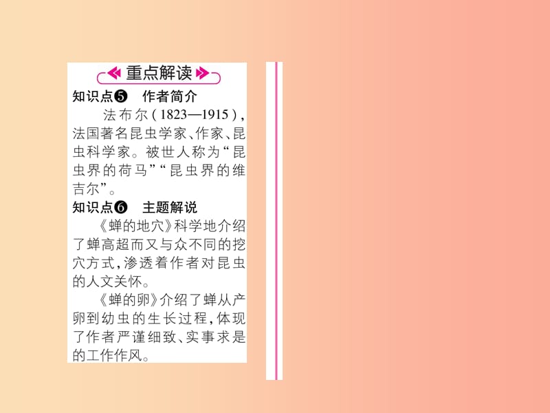 2019年八年级语文上册 第五单元 19 蝉习题课件 新人教版.ppt_第3页