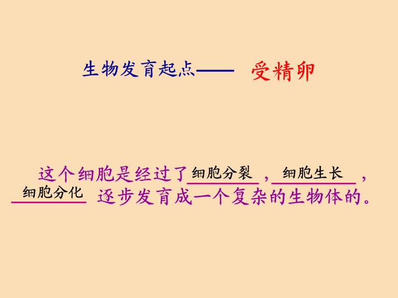 浙江省七年级科学上册 第2章 观察生物 2.3 生物体的结构层次课件3（新版）浙教版.ppt_第3页