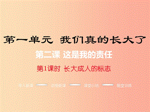 九年級(jí)道德與法治上冊(cè) 第一單元 我們真的長(zhǎng)大了 第二課 這是我的責(zé)任 第1框 長(zhǎng)大成人的標(biāo)志課件 人民版.ppt