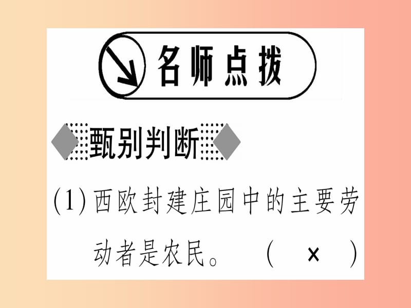 广西2019秋九年级历史上册 第3单元 中古时期的欧亚国家 第8课 西欧的乡村与城市课件 岳麓版.ppt_第2页