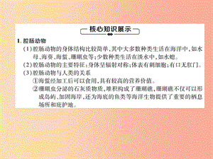 2019年八年級生物上冊第5單元第1章第1節(jié)腔腸動物和扁形動物練習課件 新人教版.ppt