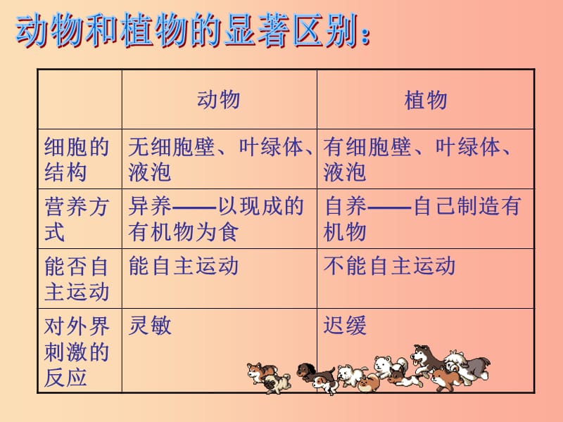 八年级生物上册5.1.1腔肠动物和扁形动物课件4 新人教版.ppt_第2页