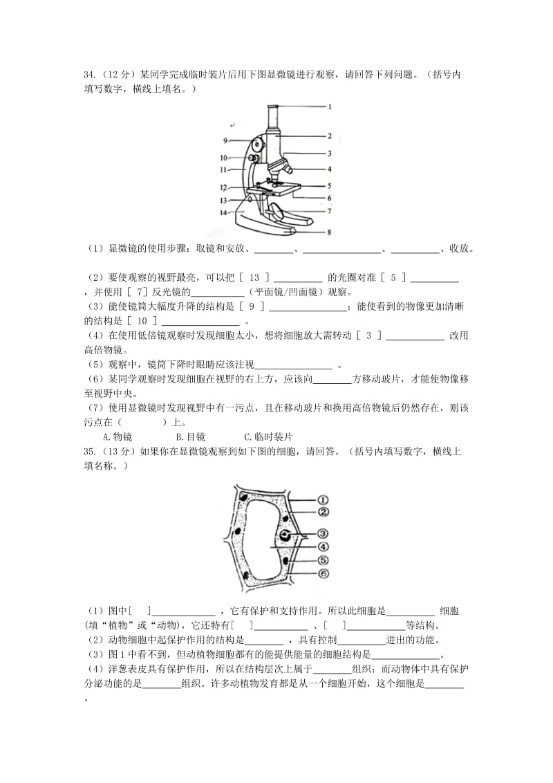 2019-2020年七年级上学期期中测试卷（一）生物试题.doc_第3页