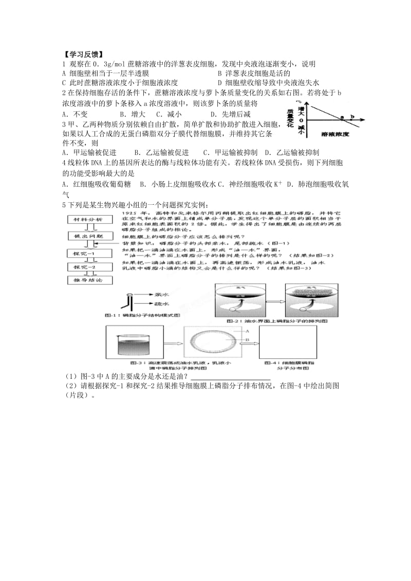 2019-2020年高二生物 物质跨膜运输学案.doc_第2页